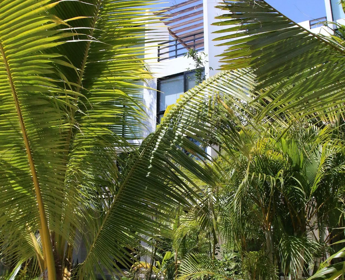 Apartment A-Nah Suitestulum Mexico